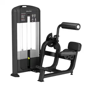 Factory Direct Supply Fitness Equipment Pin Load Selection MND Dezhou Gym Equipment Back Extension For Workout