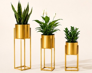 Modernos Soportes de Metal Dorado para Flores con Macetas Redondas para Plantas y Flores de Interior, Decoración Minimalista para el Hogar - Product Image 4