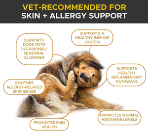 שמן סלמון פראי לכלבים-אומגה 3 לכלבים-אומגה 3 לכלבים-תוספת מזון נוזלי לחיות מחמד-תוספת כלבים וחתולים - Product Image 2