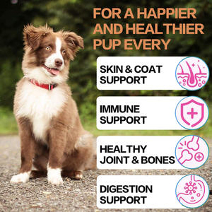 ผลิตภัณฑ์เสริมสุขภาพสุนัขและแมวน้ำยาเคลือบผิวหยดของเหลวเพื่อสุขภาพผิวเพื่อการผลัดและภูมิแพ้และบรรเทาอาการคัน - Product Image 2