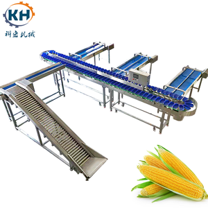 Machine de tri et de pesage automatique pour concombres et piments / Trieur de poids pour légumes, tomates et pommes de terre en SUS304 - Product Image 1