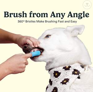Luxury Soft Food-Grade Silicone Pet Finger <b>Toothbrush</b> with 360° Cleaning for Effective Dental Care - Product Image 3