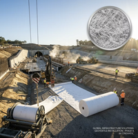 Tela Geotextil No Tejida, Tela Filtrante Punzonada con Aguja para Construcción de Carreteras, Drenaje y Estabilización de Suelos