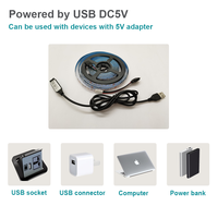 Ruban RVB à distance IR pour la décoration de la chambre Bande lumineuse LED USB La vente Flexible LED PC écran TV rétro-éclairage