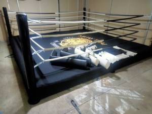 <span class=keywords><strong>Ring</strong></span> de boxe au sol <span class=keywords><strong>Prix</strong></span> d'usine 25ft <span class=keywords><strong>MMA</strong></span> Wrestling <span class=keywords><strong>Ring</strong></span> For Boxing Equipment - Product Image 3