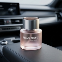 Diffuseur d'arômes pour voiture en bois, parfum d'ambiance longue durée, désodorisant pour l'intérieur du véhicule, marque BLACK ODOR
