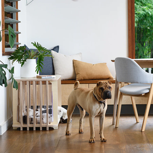 JUNJI Chenil moderne en bois pour chiens Porte intérieure de caisse pour animaux de compagnie de style animal de compagnie pour petits et grands chiens pouvant également être utilisée Meubles de table d'appoint - Product Image 5