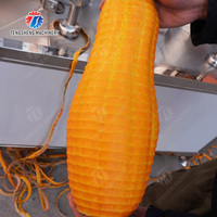 Industriële elektrische fruit- en groenteschilmachine met aangepaste rotatie