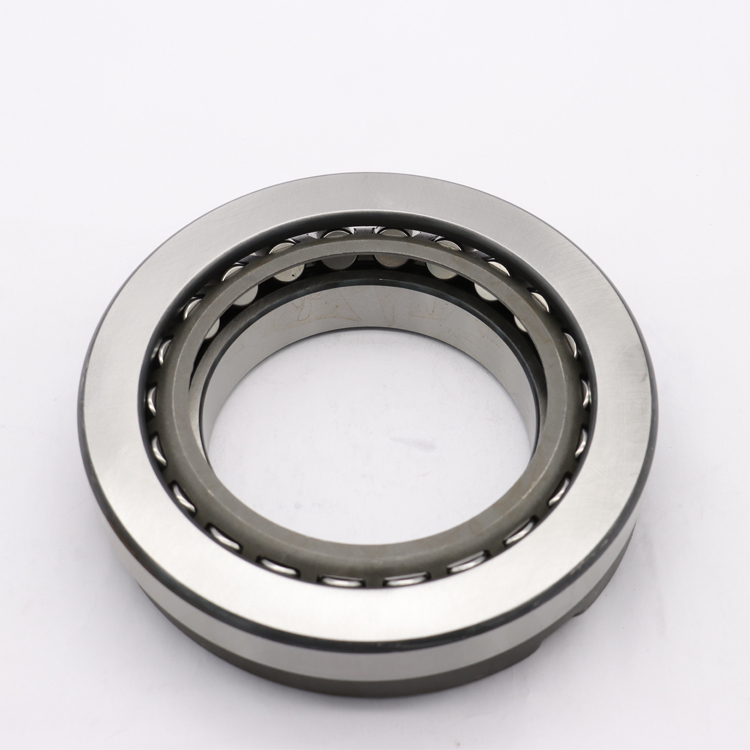 FO Custom Cage Chrome Steel Bearings