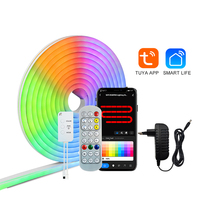 Bande lumineuse fluo en silicone couleur variable 08x17MM avec contrôle WIFI TUYA 24V 5M IP67 étanche nouveau Style pour chambre parc