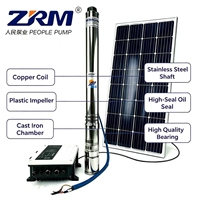 Pompe à eau submersible solaire DC de 3 pouces, 600 W, 48 V, pour l'irrigation agricole, l'alimentation en eau domestique, les puits profonds