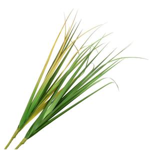 Fabricant <span class=keywords><strong>de</strong></span> plantes artificielles en gros, fleurs séchées, décoration <span class=keywords><strong>de</strong></span> jardin colorée, roseaux simulés tropicaux pour carport, ambiance émotionnelle - Product Image 1