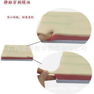 Módulo de Práctica Multifuncional para Inyección Intravenosa Dérmica, Infusión Arterial Vascular Dérmica, Punción Intramuscular - Product Image 3
