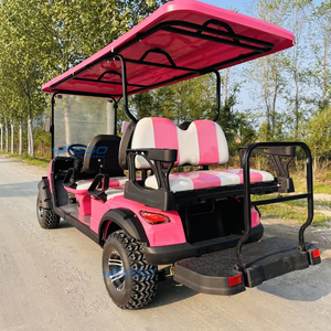 Carritos de Golf Eléctricos Tipo Buggy Color Rosa Princesa, Legales para Circular en la Calle, de 6 Plazas, para Turismo, en Venta - Product Image 6