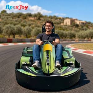 <span class=keywords><strong>Kart</strong></span> de location à essence ApexJoy RACE GT PRO A4 - 200cc/270cc 6.5HP 68km/h 30CrMo à couple élevé pour stations touristiques <span class=keywords><strong>Prix</strong></span> de gros B2B - Product Image 1