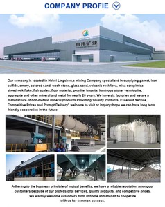 Poudre fine de classe F, approuvée ISO9001, testée, à haute teneur en silice, pour béton prêt à l'emploi haute performance et cendres volantes - Product Image 6