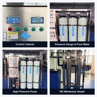 Système de traitement d'eau par osmose inverse 500 LPH, ligne d'eau en bouteille, purificateur RO, machine de purification d'eau, 0,5 T/H, rejet de sel de 98 %, 2 kW, 380 V/220 V