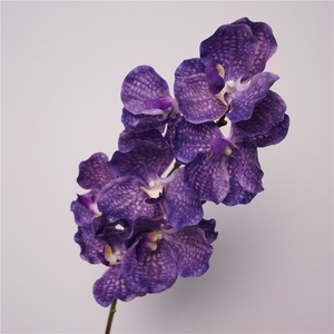 Orchidée <span class=keywords><strong>Vanda</strong></span> artificielle de haute qualité, toucher réaliste, en latex, 79 cm de long, pour la décoration de mariage et de la maison - Product Image 5