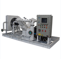 Compresseur d'hydrogène industriel CT4 monté sur patins, haute pression, robuste, à connexion directe, refroidi par eau, type piston