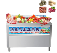 Laveuse d'ozonage écologique pour fruits et légumes, pour la transformation alimentaire biologique, usage commercial, grande capacité, compatible avec les noix