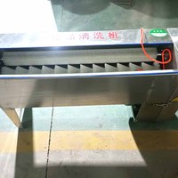 Nouvelle Laveuse d'œufs Commerciale Automatique Multifonctionnelle avec Brosse pour Œufs de Poule/Canard/Oie 110V/220V
