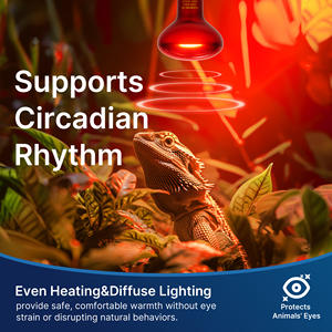 Инфракрасная лампа для обогрева домашних животных E26, энергосберегающая, Взрывозащищенная, тепловая лампа для рептилий, черепаха, ящерица - Product Image 3