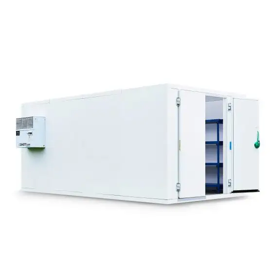 Compresseur Support personnalisation Congélateur basse température mini chambre froide pour réfrigération glace