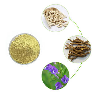 バイカル<span class=keywords><strong>Skullcap</strong></span>根エキス85% バイカリン黄色粉末HPLC認定ドラム包装 - Product Image 2