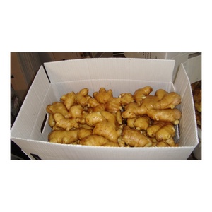 Jengibre Fresco Orgánico Barato al por Mayor, Vegetales Chinos de Exportación, Jengibre Fresco en Caja de PVC de 3 kg, Jengibre de Shandong en Venta - Product Image 4