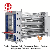 Cage à poulets automatique de type H à 4 niveaux en acier galvanisé avec courroie de fumier, collecte d'œufs OEM, abreuvoir à tétine, haute densité