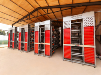 Système de cages en H Xinye pour poules pondeuses, matériau galvanisé, garantie 1 an, collecte automatique des œufs, idéal pour petites exploitations
