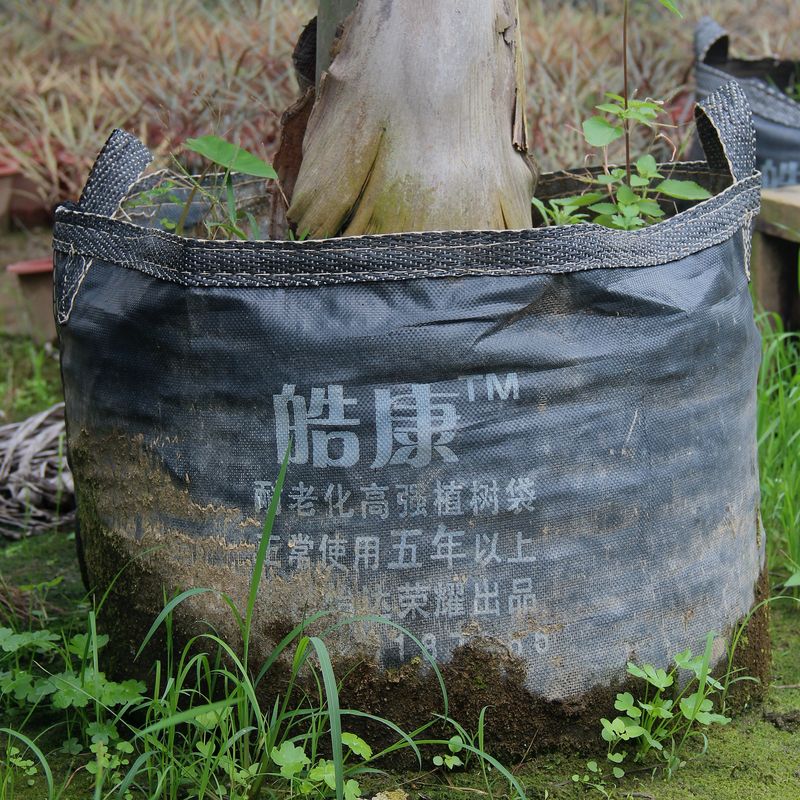 HOKBG Farm Nursery Grow Bag Tree