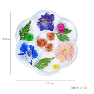 7 rejillas <span class=keywords><strong>3D</strong></span> flores secas pegatinas para decoración de <span class=keywords><strong>uñas</strong></span> con dijes florales naturales y accesorios de manicura DIY-Opción de logotipo personalizado - Product Image 6