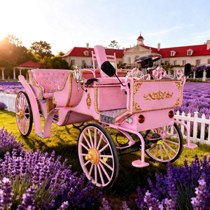 Charrette de mariage électrique rose, chariot de tourisme européen à chevaux, calèche de chevaux pour visites touristiques - Product Image 1