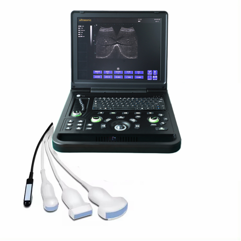 Portable 15 Inch Veterinary Ultrasonic Scanner Machine for Dogs and Other Animals Reusable Instrument
