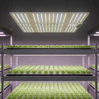 Kosteneffectieve 120W Volspectrum LED Kweeklamp Ultralicht Quantum Paneel Verre Rood Dimmer Hoge Efficiëntie Bloei Succulenten Tuinbouw