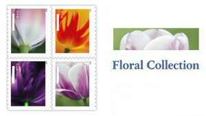 <span class=keywords><strong>Timbres</strong></span>-poste et étiquettes d'impression originaux, 20 <span class=keywords><strong>timbres</strong></span>-poste commémoratifs <span class=keywords><strong>2023</strong></span> Fleurs de tulipes, en papier, pour l'envoi américain - Product Image 6