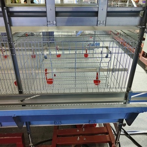 Çin üretimi tavuk kümesi broiler ve ucuz et broiler yetiştirme tavuk pil kafesleri fiyatları - Product Image 5
