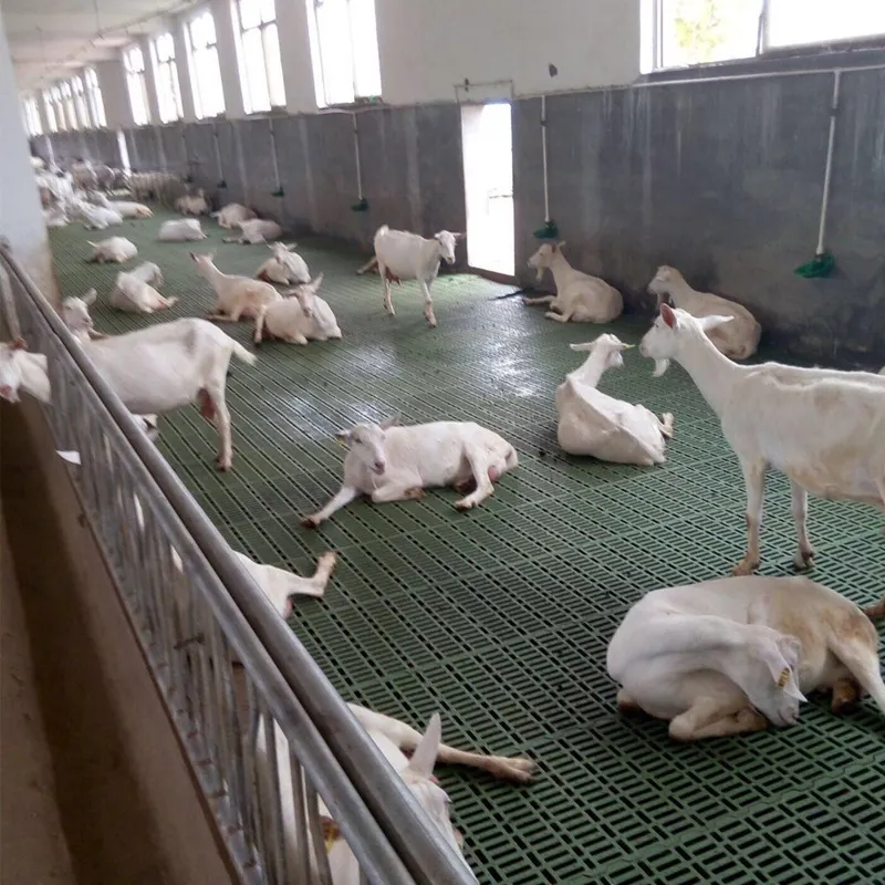 2023 Farming Animal Livestock Poultry Goat Sheep Slat Plastic Dung Leaking Board Slatted Floor