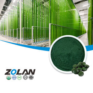 Vente en gros de poudre de spiruline biologique 100% pure - Product Image 1