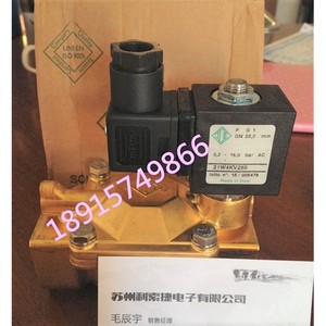 21W4KV250 Solenoid Valve 1 Inch Diaphragm Pilot Operated AC 230 <b>V</b> 0 10 <b>Bar</b> - Product Image 1