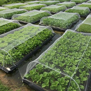 Rete Anti-Insetti Trasparente in Plastica per Serra Huike, Larghezza 3 Metri, Rete Agricola Anti-Insetti - Product Image 6