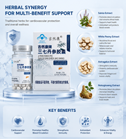 Capsules d'extrait de Panax Notoginseng et de Danshen sous Marque Blanche : Soutient la Santé Hépatique, la Fonction Détoxifiante et la Protection Antioxydante – Complément Alimentaire