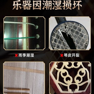Zither Desiccant Packets For <b>Musical</b> <b>Instruments</b> Moisture Absorbent Anti Mold Protection - Product Image 2