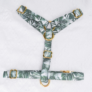 Bộ Dây Dắt Chó Bộ Dây Dắt Chó Và Dây Xích Chó Bằng Cotton Thiết Kế Tùy Chỉnh Bán Sỉ Có Thể Điều Chỉnh Bán Buôn - Product Image 6