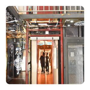 Thang Máy 2-4floors nhỏ thiết kế thời trang dân cư hành khách nhà thang máy biệt thự Thang Máy Giá - Product Image 4