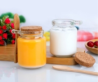 Botol Kaca Bulat 100ml 250ml 350ml untuk Garam Mandi, Wadah Penyimpanan Makanan, dan Pengalengan dengan Sendok Kayu dan Tutup Gabus