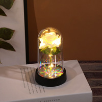 Cadeau pour la Saint-Valentin, rose éternelle colorée à LED, rose artificielle éternelle dans un dôme en plastique, cadeau