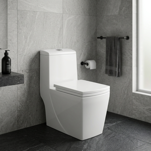 WC monobloc en céramique pour marché africain, cuvette de toilette à siphon, à poser au sol, blanc, équipement sanitaire - Product Image 1