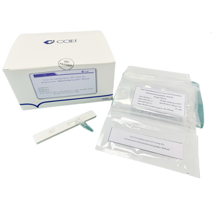 Kit de dosage de <span class=keywords><strong>triiodothyronine</strong></span> totale T3 immunochromatographique à fluorescence innovant pour l'évaluation clinique de la fonction thyroïdienne - Product Image 2